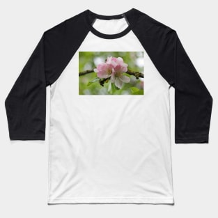 Apple Blossom Baseball T-Shirt